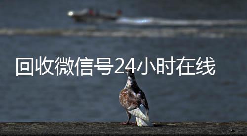回收微信号24小时在在线收微信线秒结（回收微信号24小时交易平台）